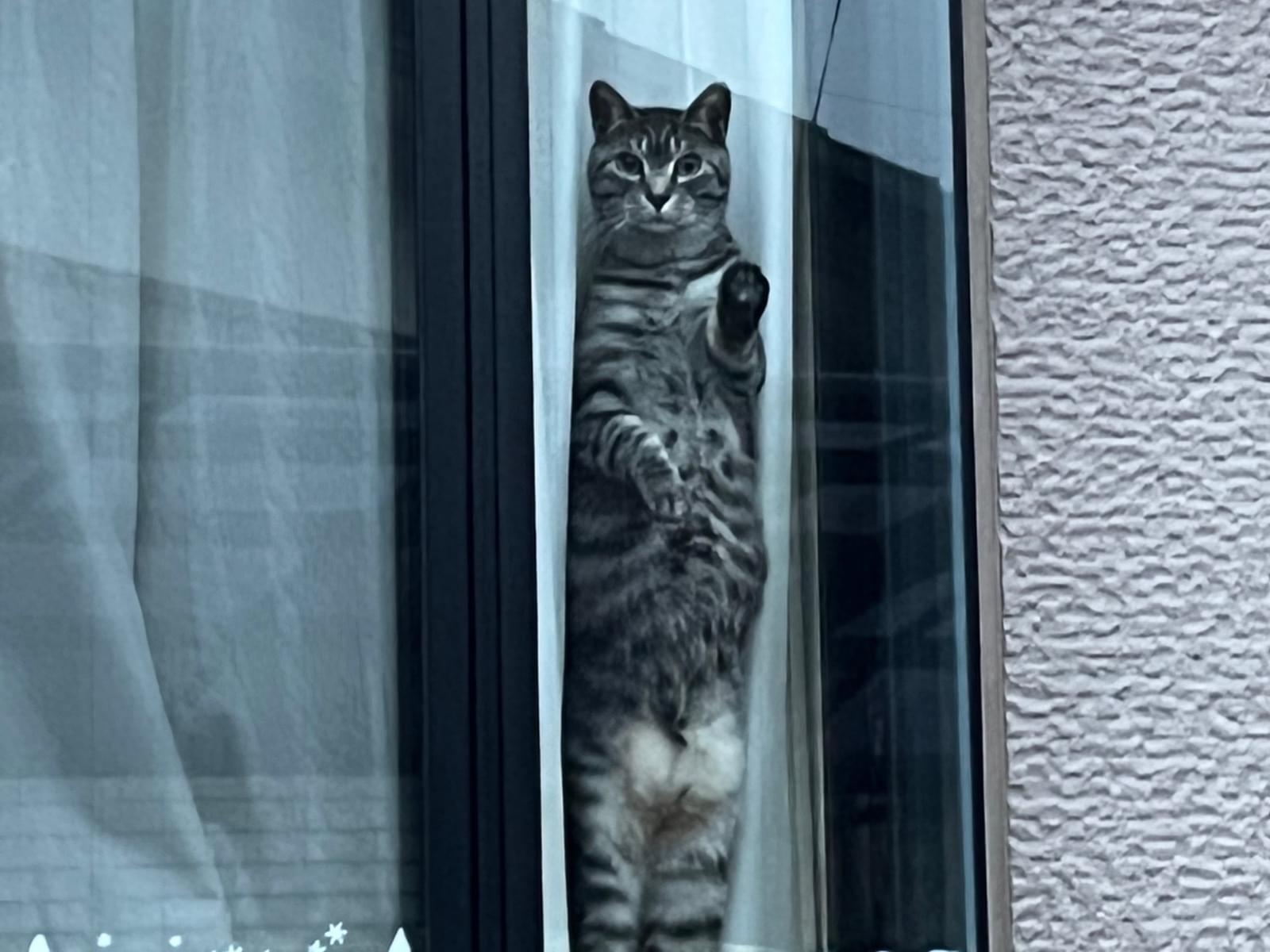 れおちゃん れおちゃん