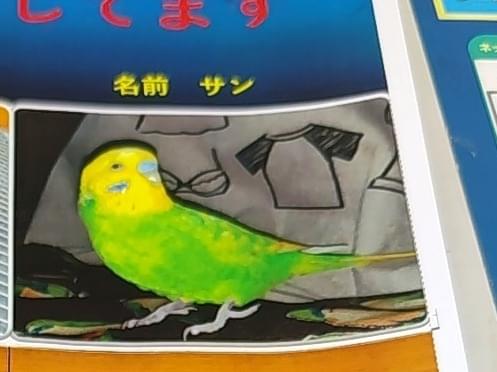 サンちゃん サンちゃん