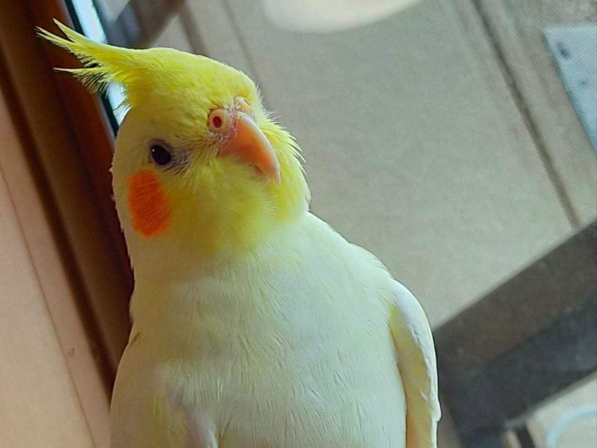 まるちゃん まるちゃん
