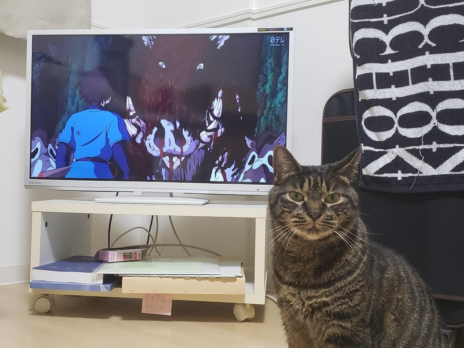 じゅじゅちゃん じゅじゅちゃん