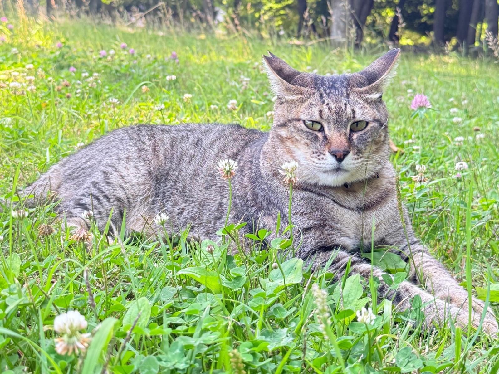 ミチョちゃん ミチョちゃん