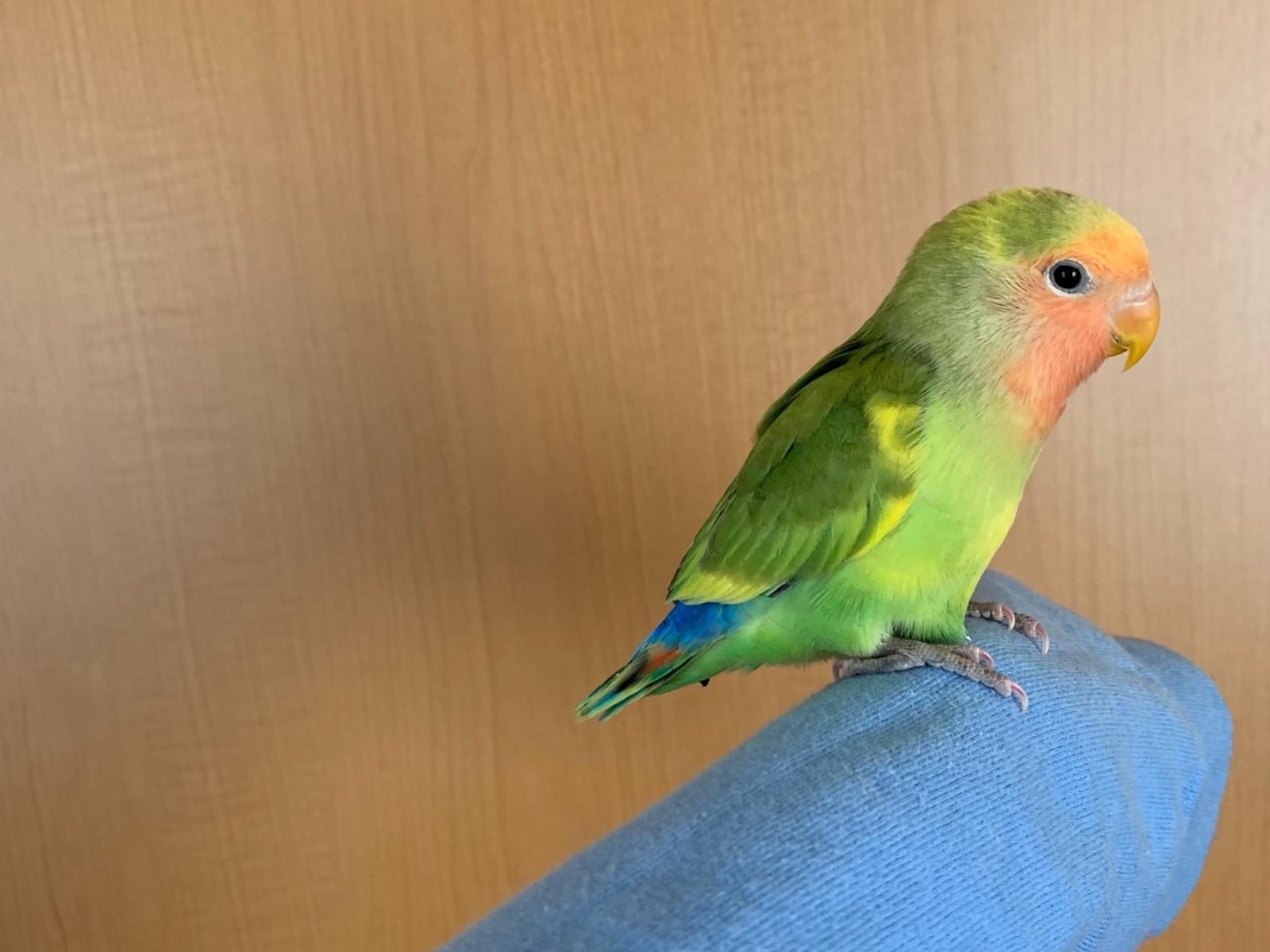 たつろー。ちゃん たつろー。ちゃん