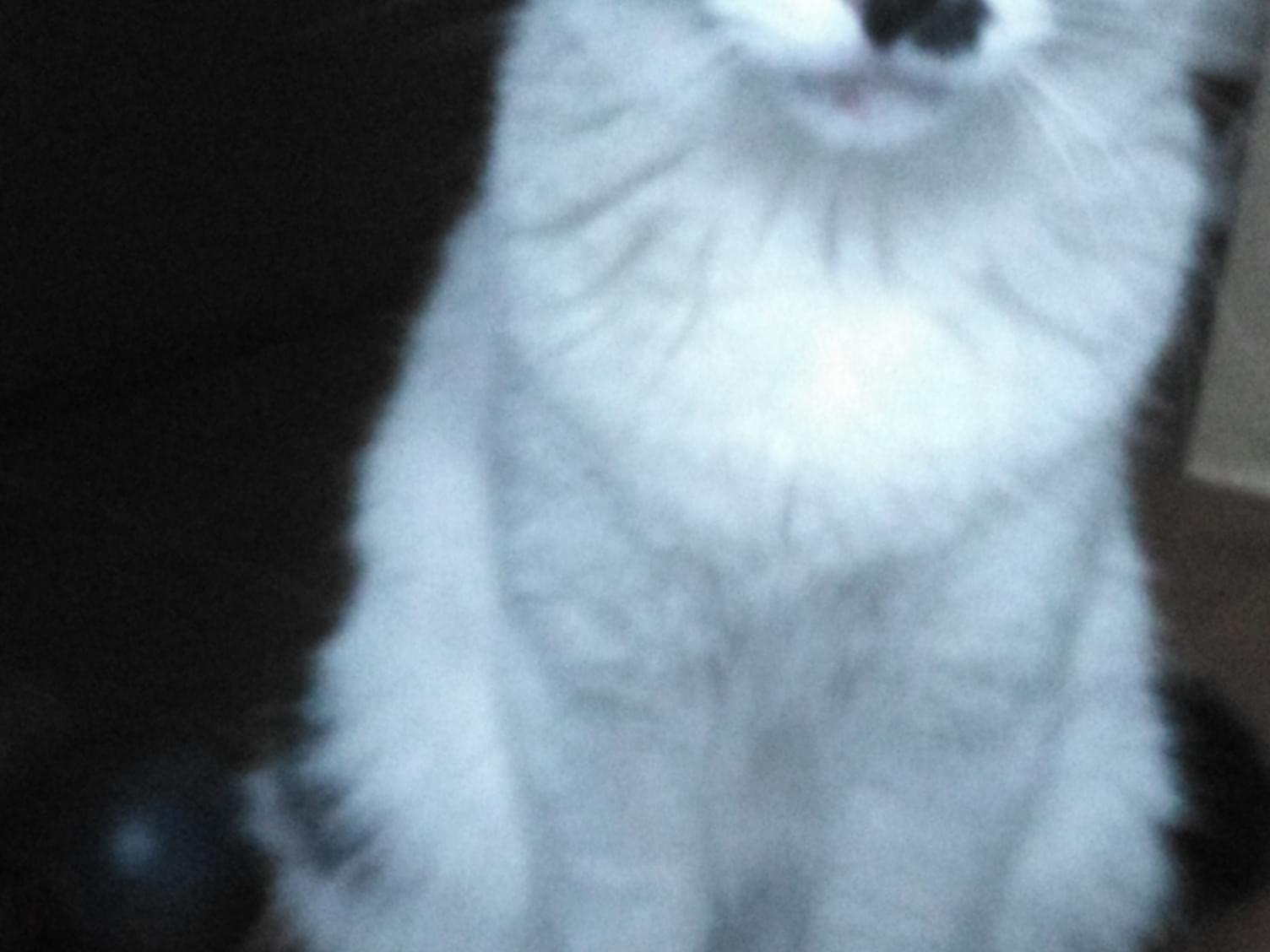のぼるちゃん のぼるちゃん