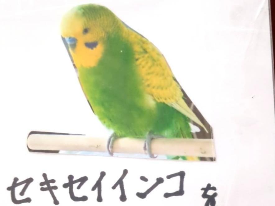 にじまるちゃん にじまるちゃん