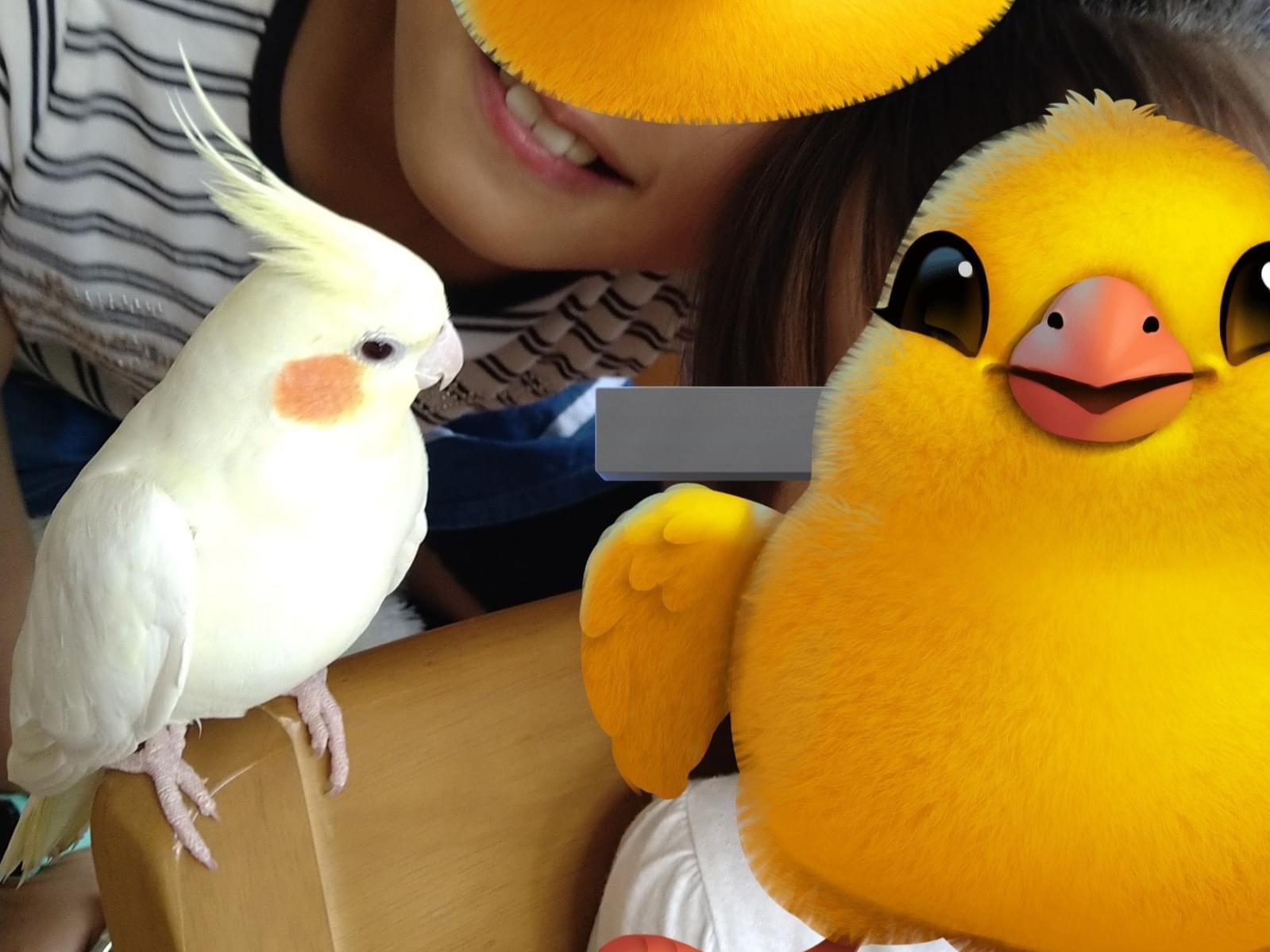 りーちゃん ぴーこちゃん りーちゃん ぴーこちゃん