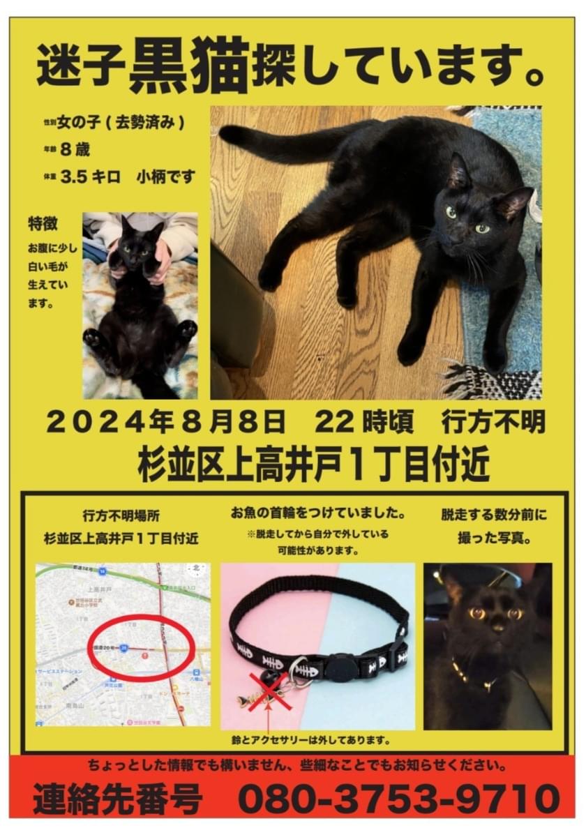 迷子の黒猫を探しています。首輪あり/3.5kg/杉並区～世田谷区