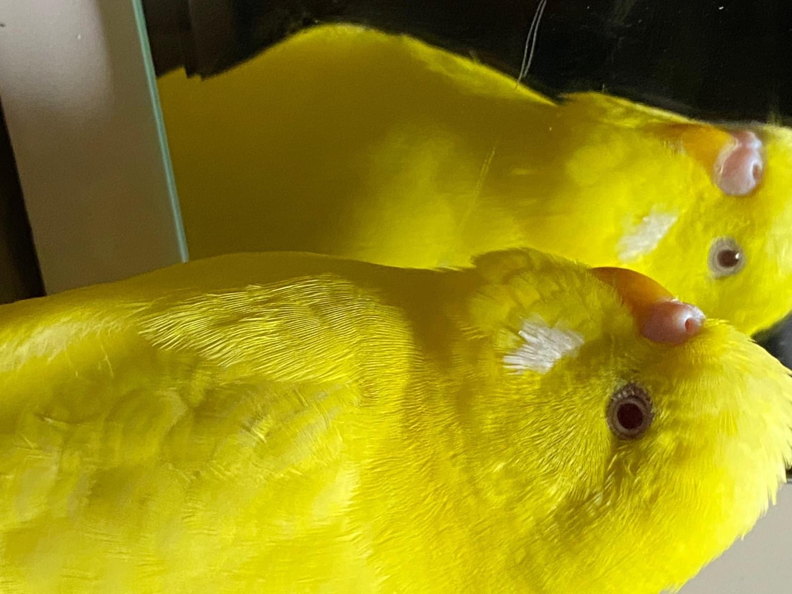 くぅちゃん くぅちゃん