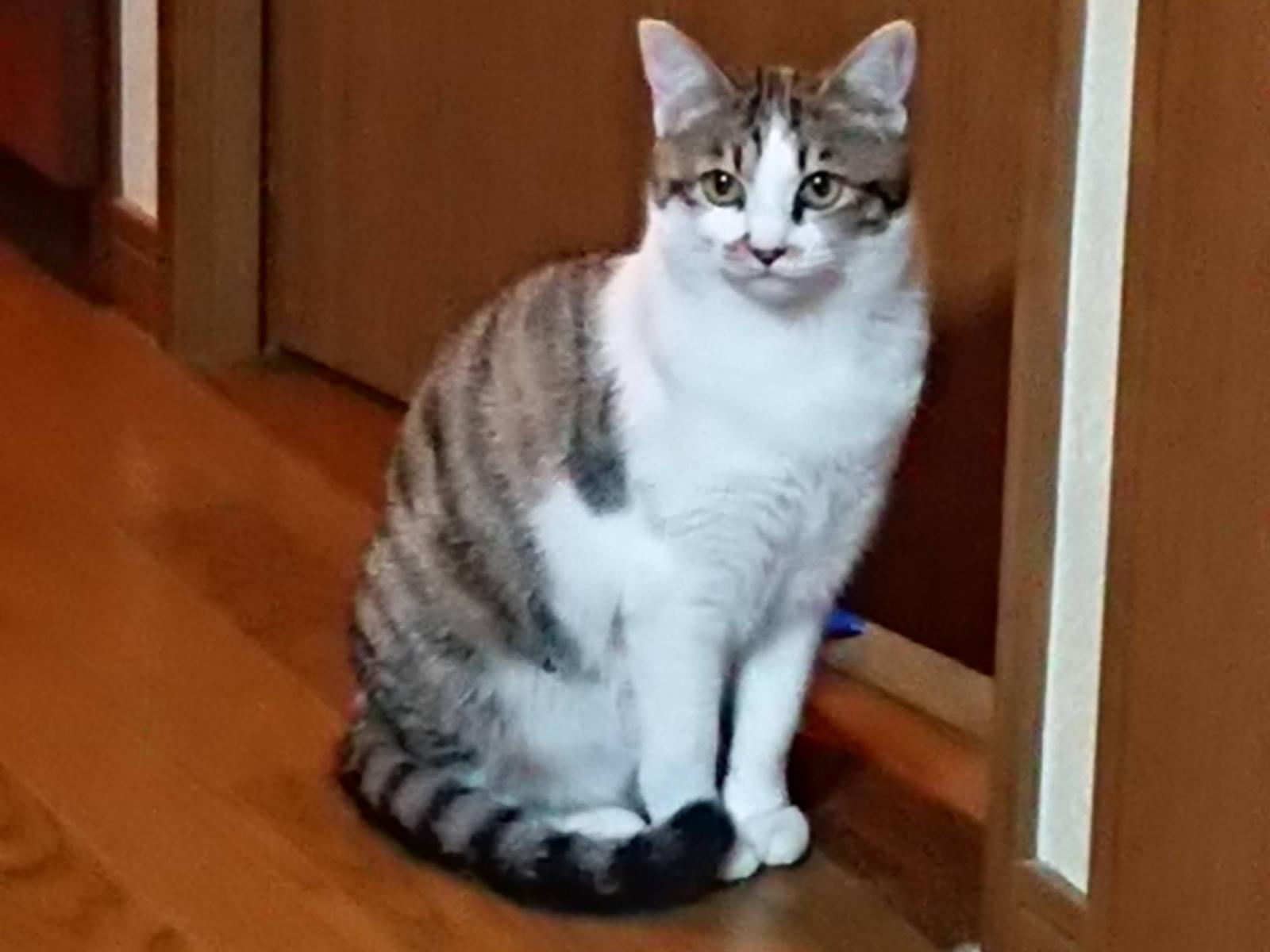 むーたんちゃん むーたんちゃん