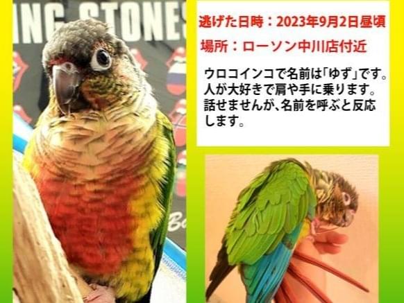 ゆずちゃん ゆずちゃん