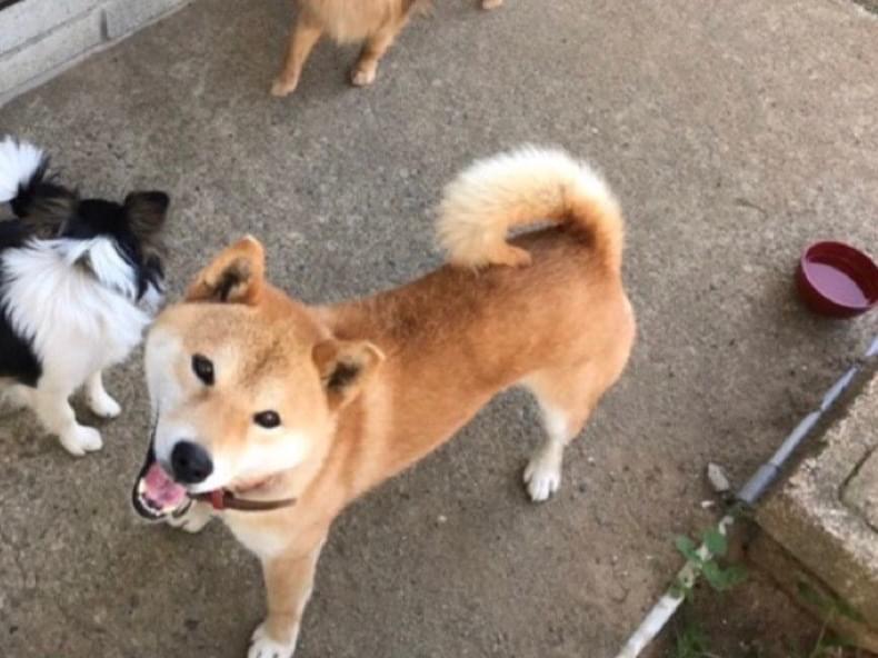 リュウちゃん リュウちゃん