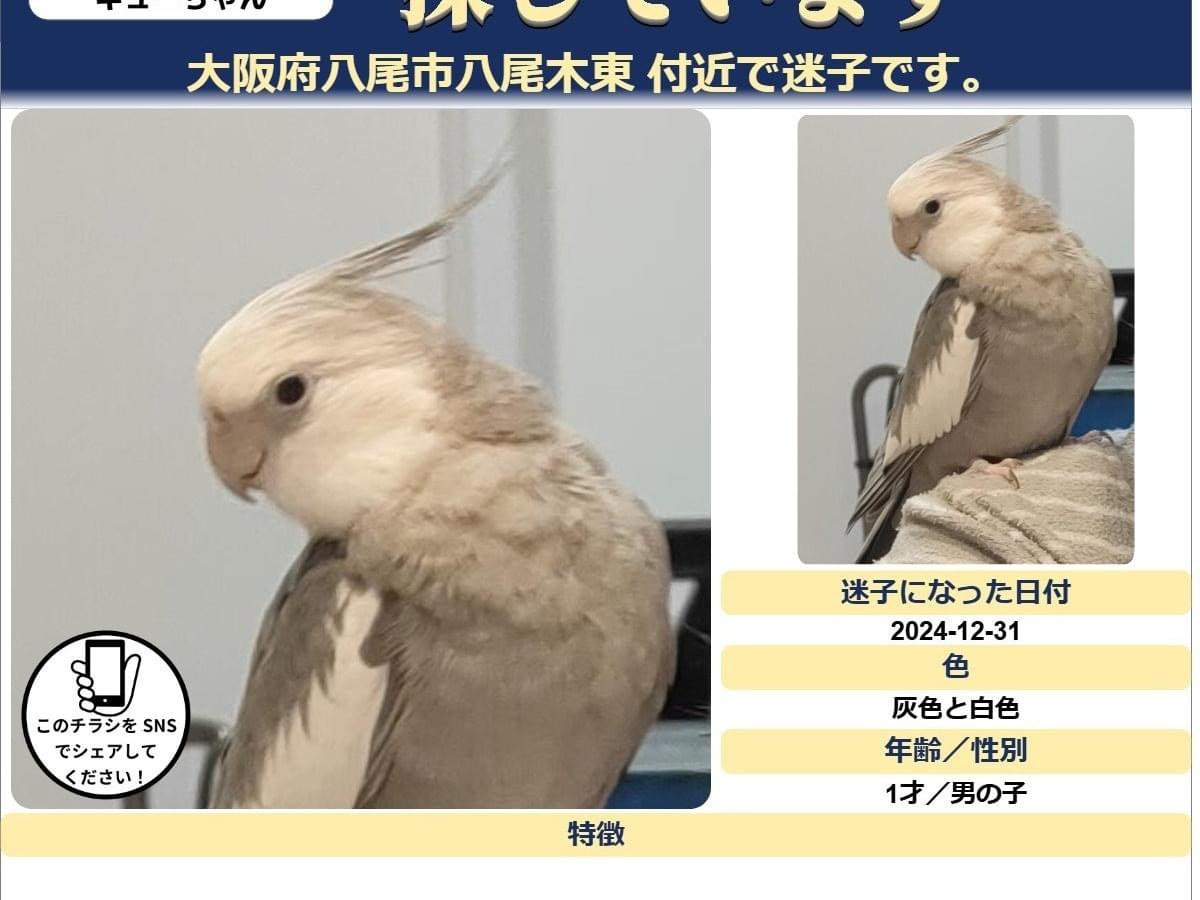 キューちゃん キューちゃん