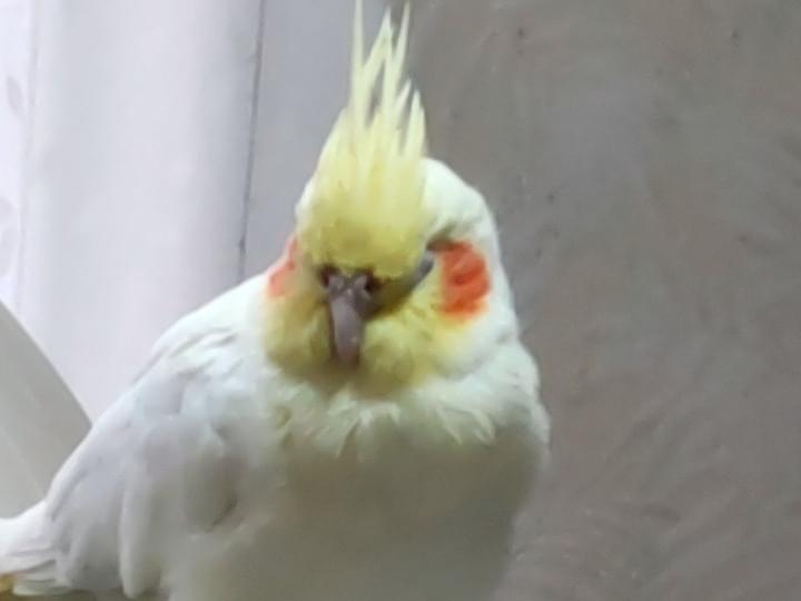 まるちゃん まるちゃん