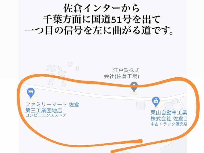 目撃された犬 目撃された犬