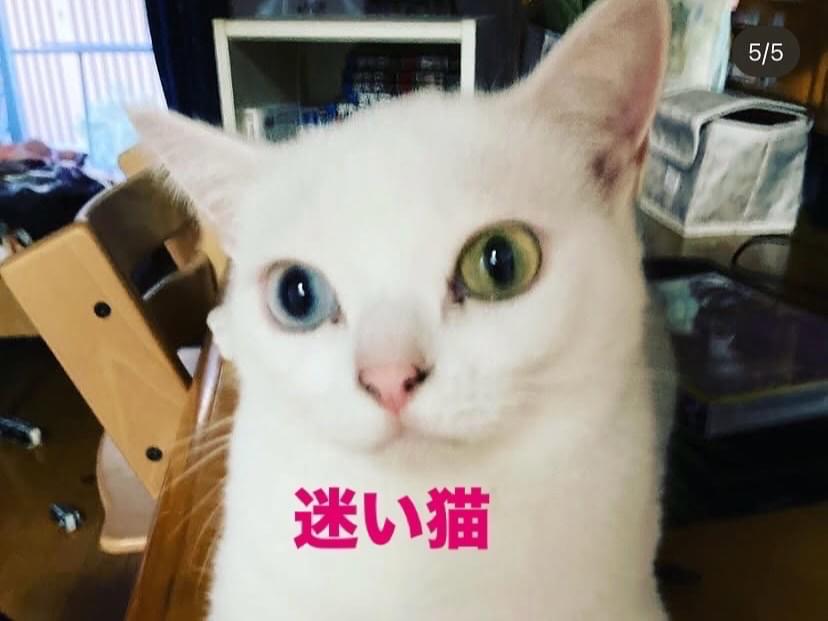 ミルクちゃん ミルクちゃん