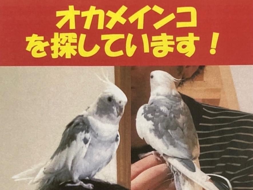 そらちゃん そらちゃん