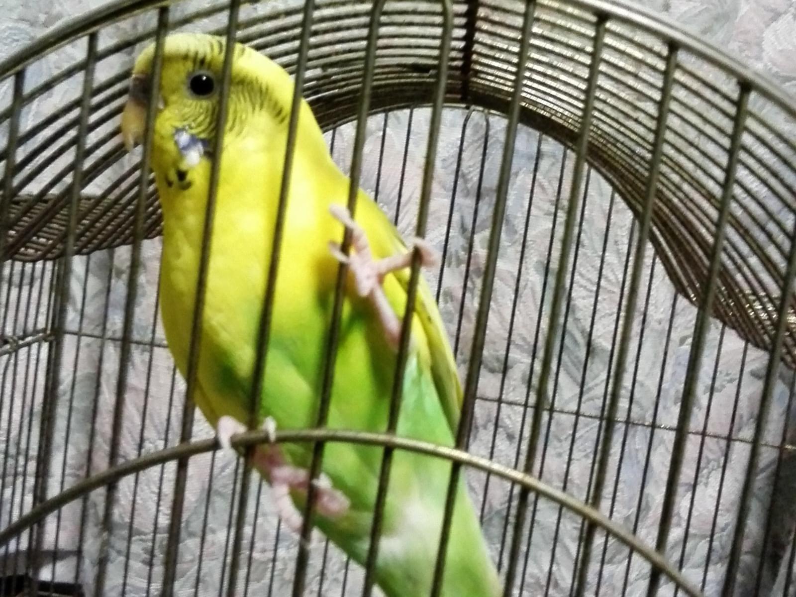コウちゃん コウちゃん