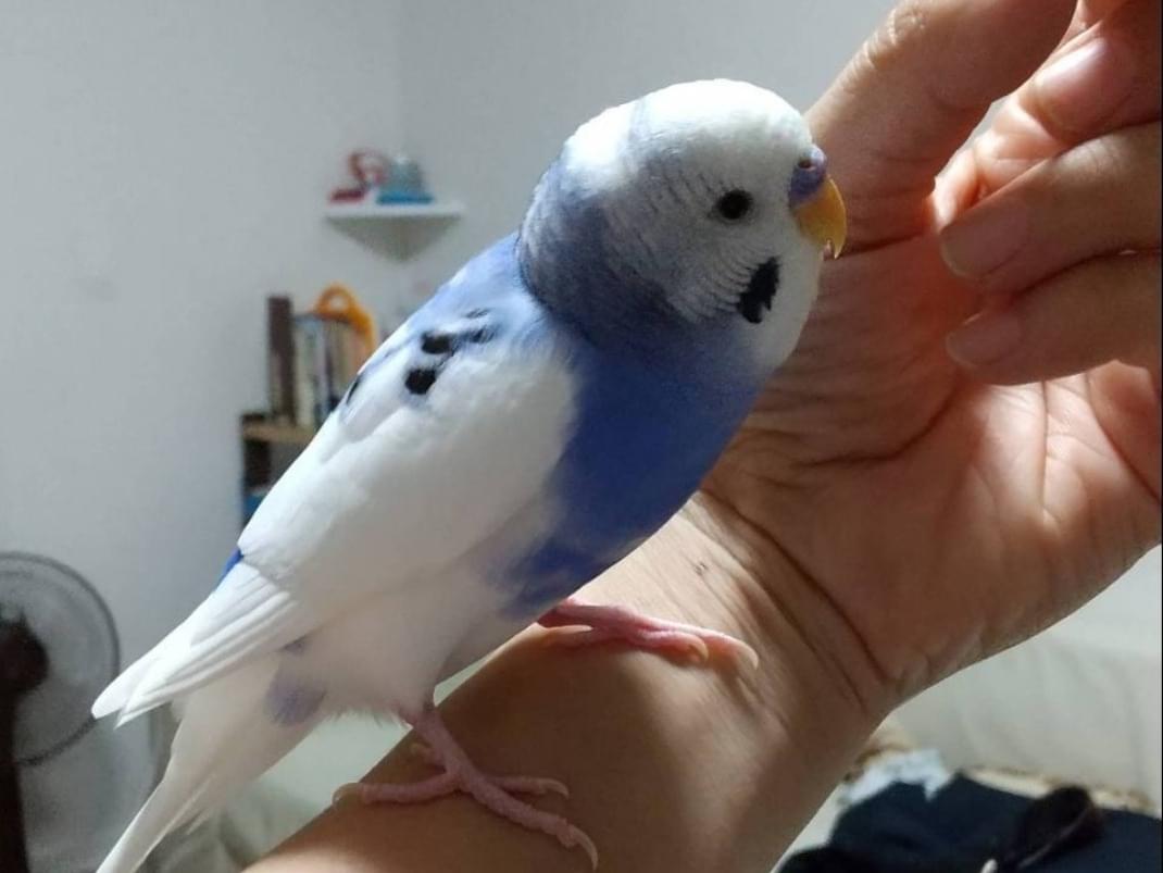 アオタちゃん アオタちゃん