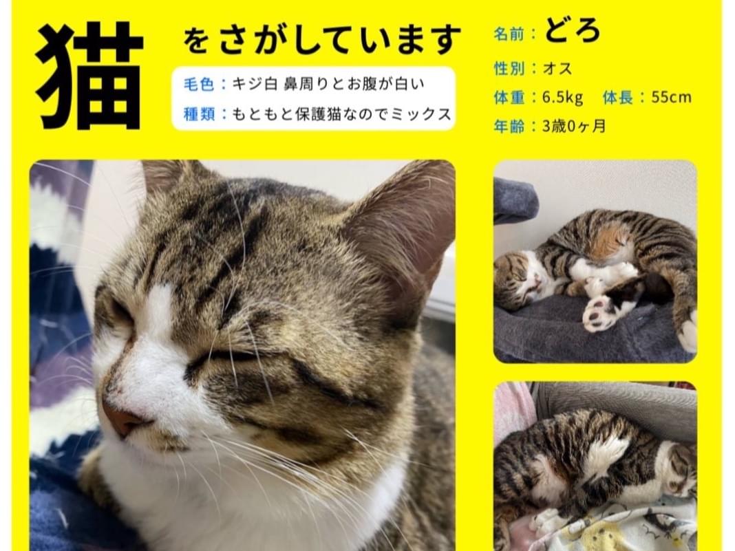 どろちゃん どろちゃん