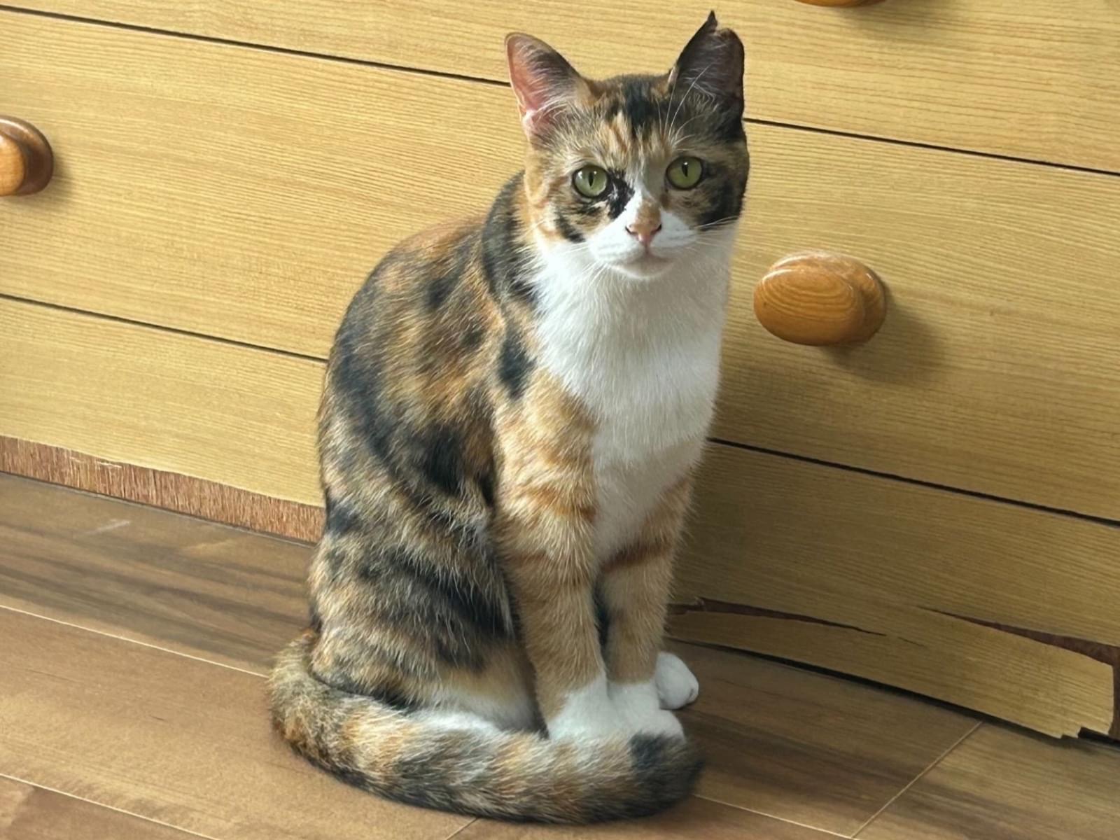 なるちゃん