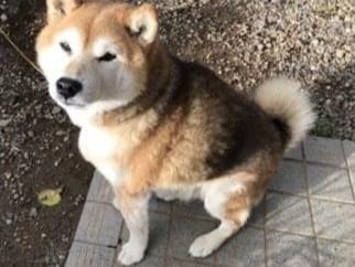むーちゃん むーちゃん