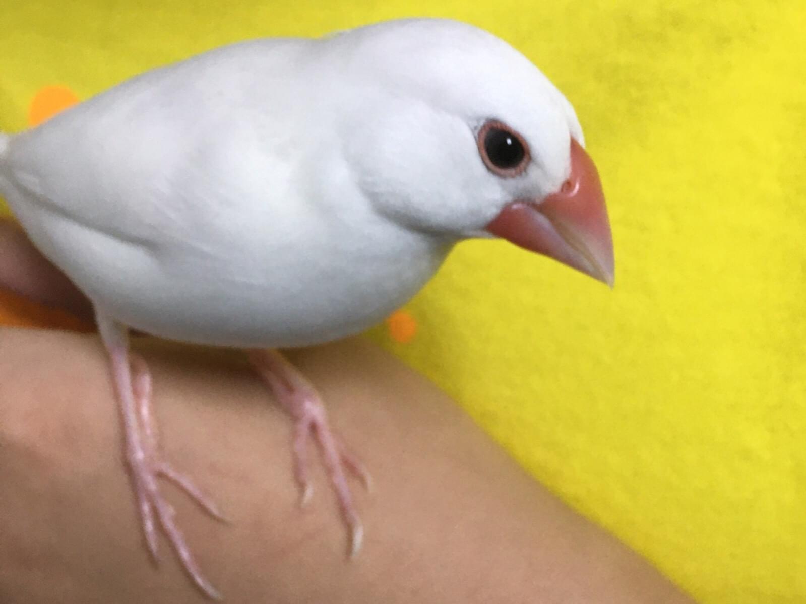 もっちゃん もっちゃん