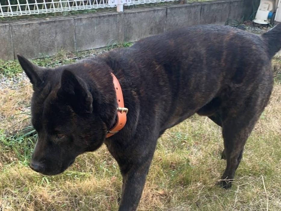 黒丸ちゃん 黒丸ちゃん