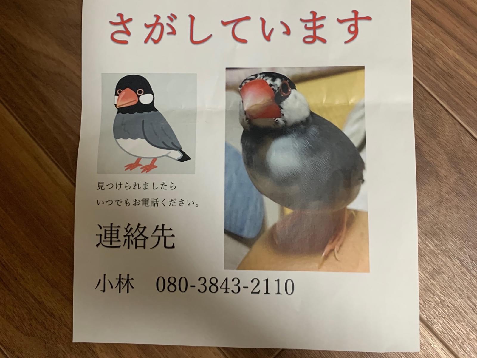 ももちゃん ももちゃん