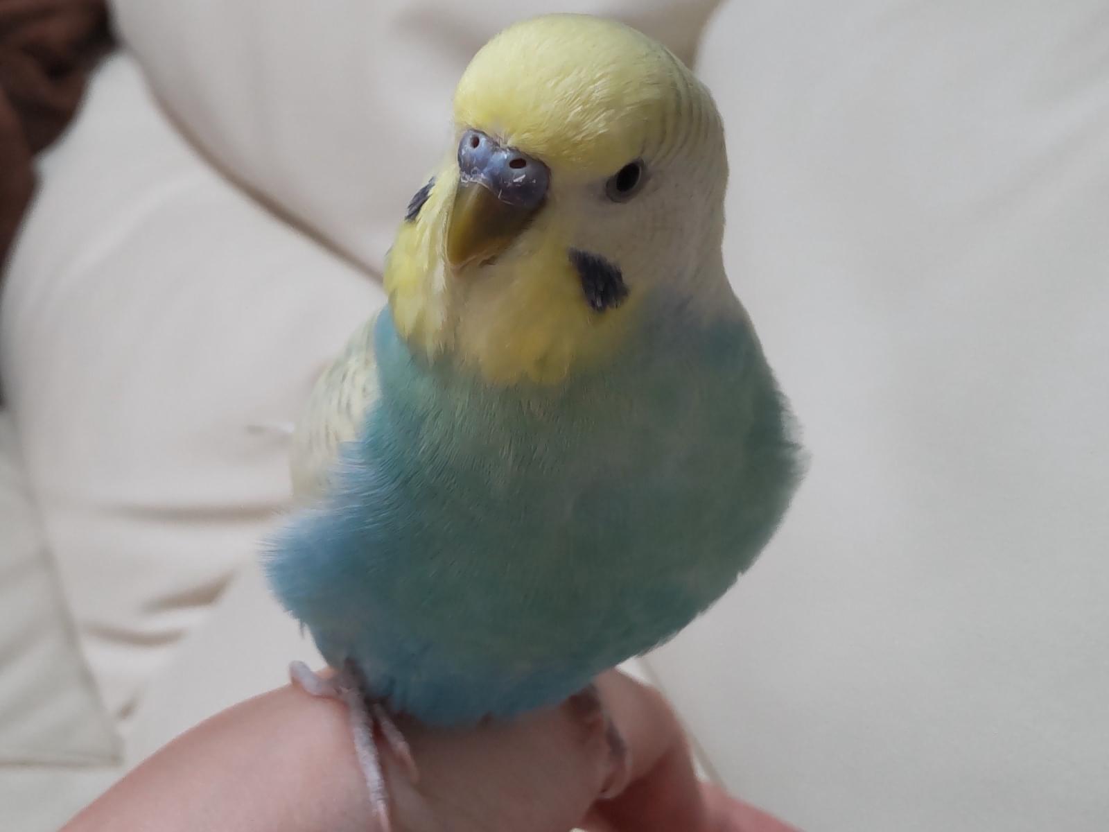 きーちゃん きーちゃん