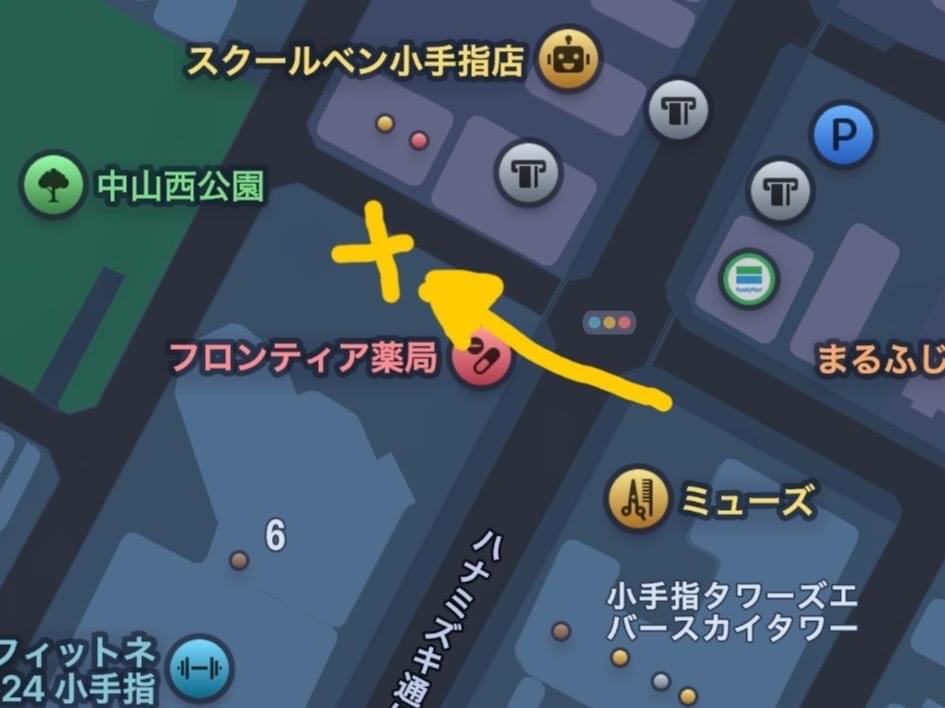 目撃された猫 目撃された猫