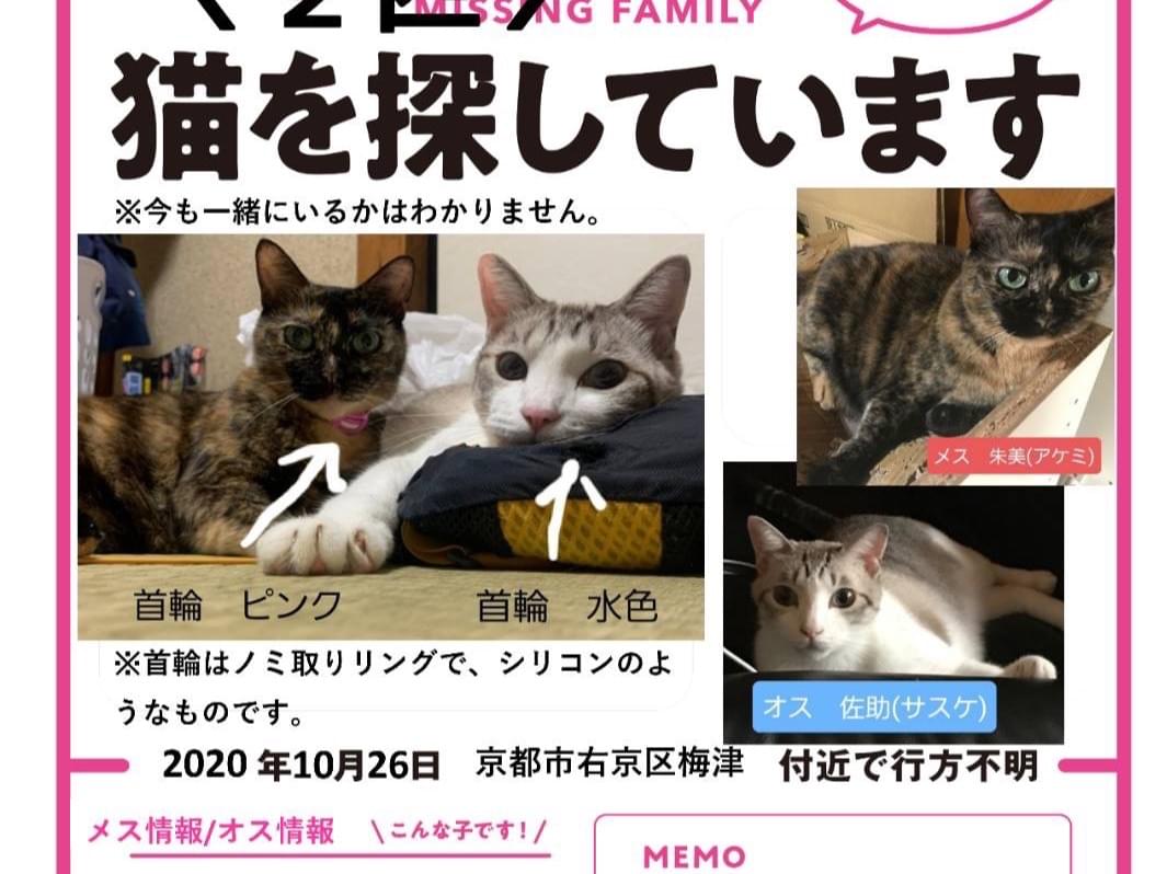 あけみちゃん あけみちゃん