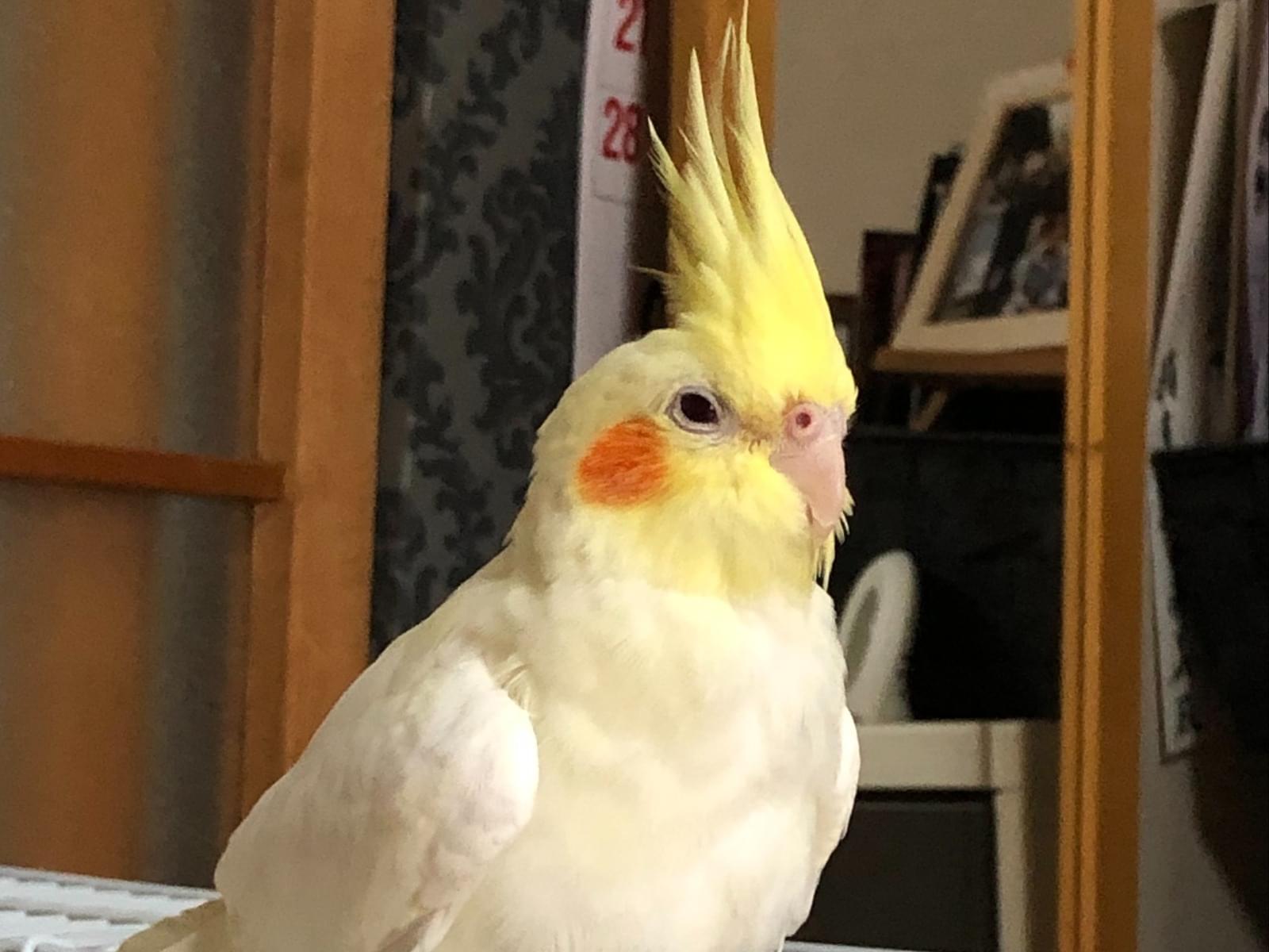 ふぁーちゃん ふぁーちゃん