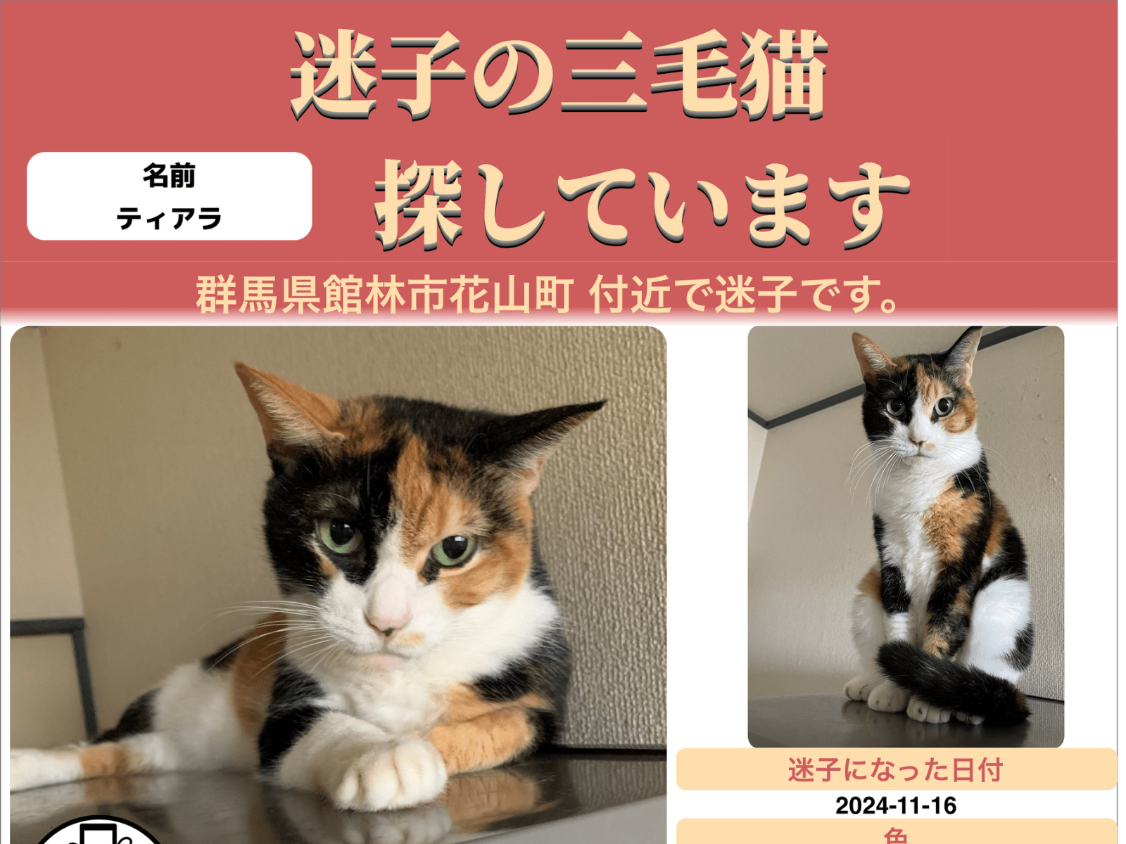 ティアラちゃん ティアラちゃん