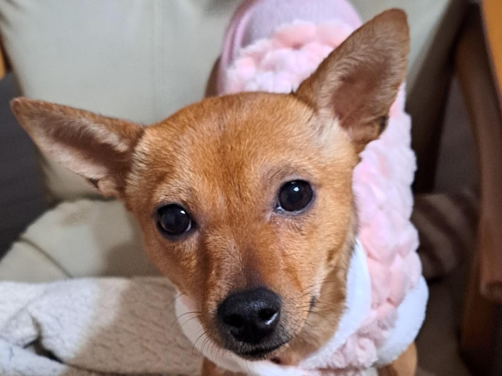 めめちゃん めめちゃん