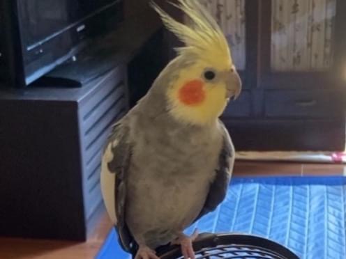 まるちゃん まるちゃん