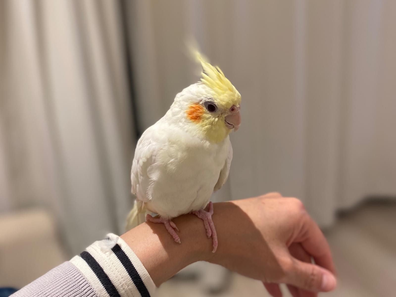 ペコちゃん ペコちゃん