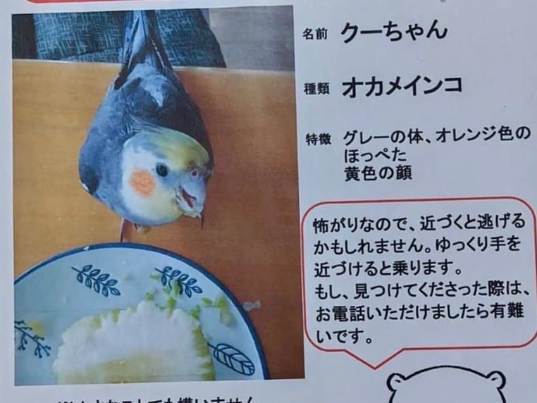 クーちゃん クーちゃん