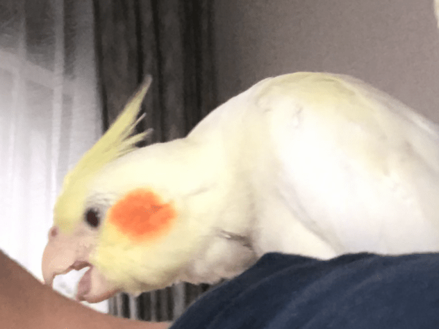 Qちゃん Qちゃん