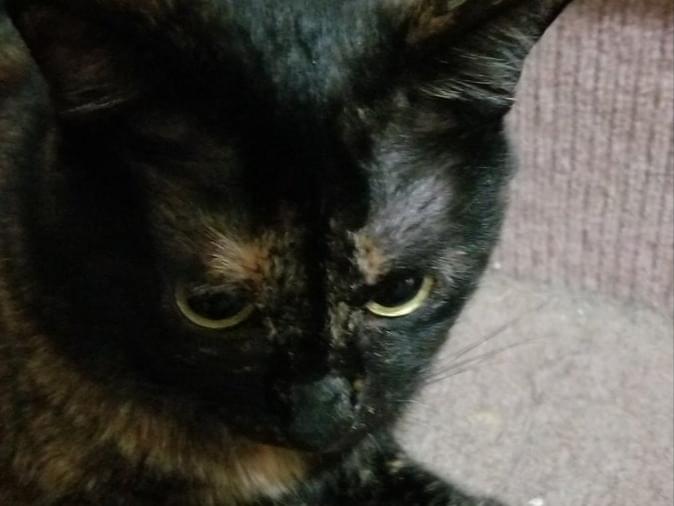 マロちゃん マロちゃん