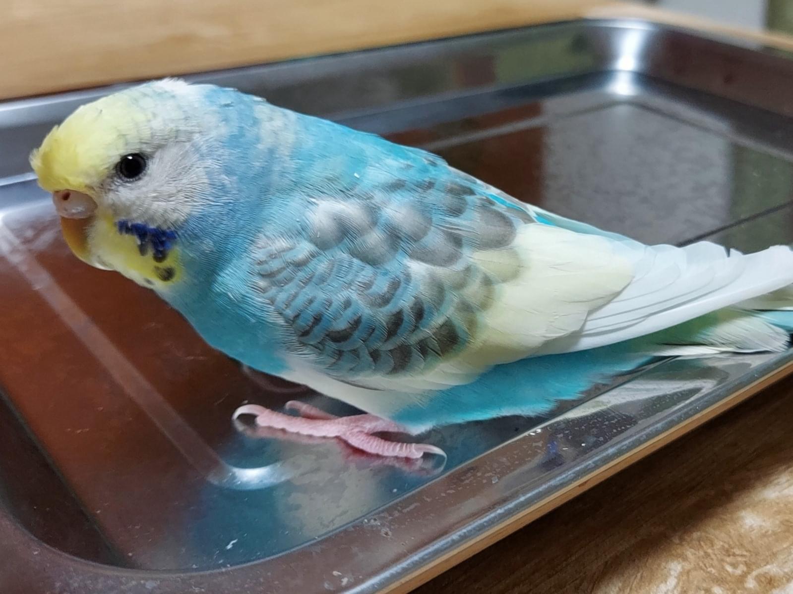 そら あだ名ぴーちゃん そら あだ名ぴーちゃん