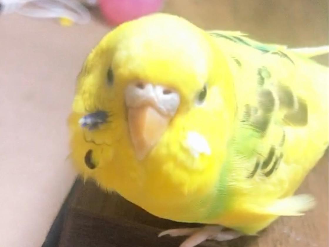 マールちゃん マールちゃん
