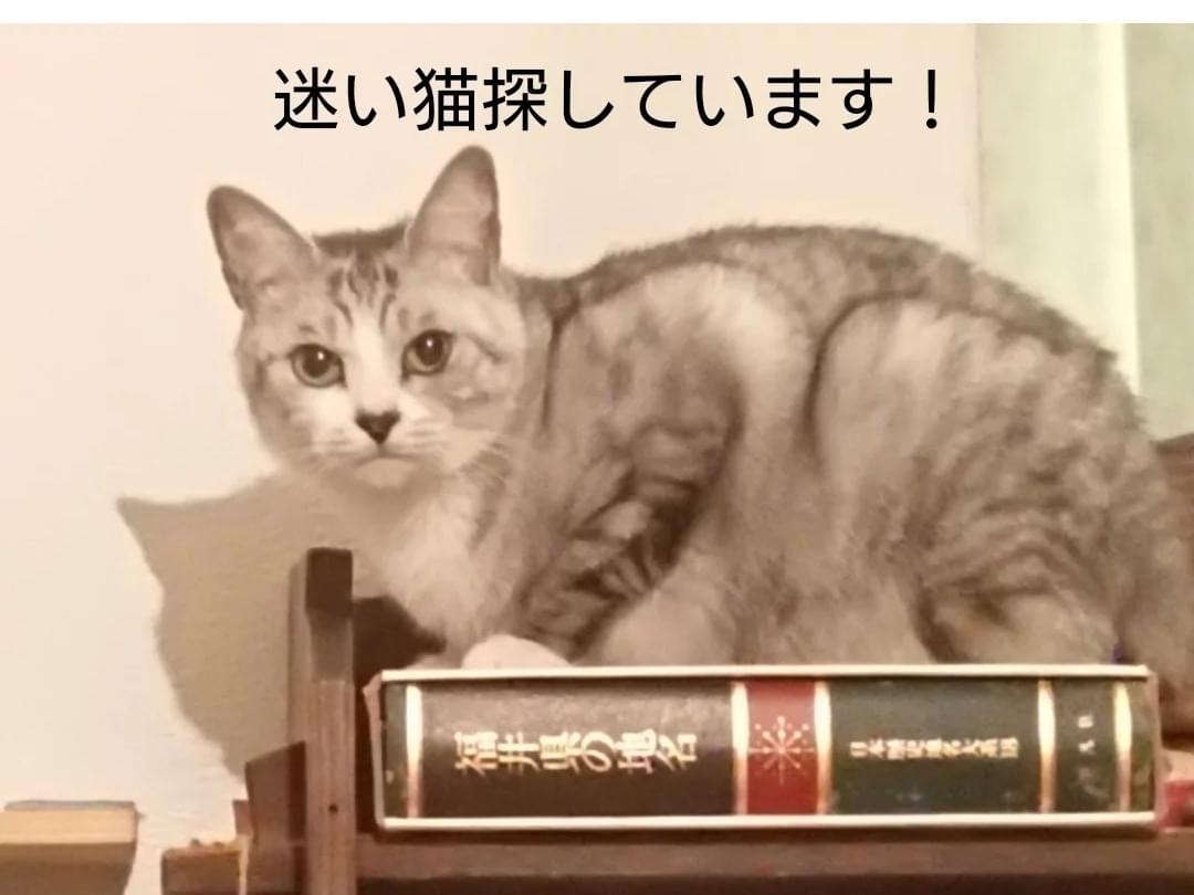 グリちゃん
