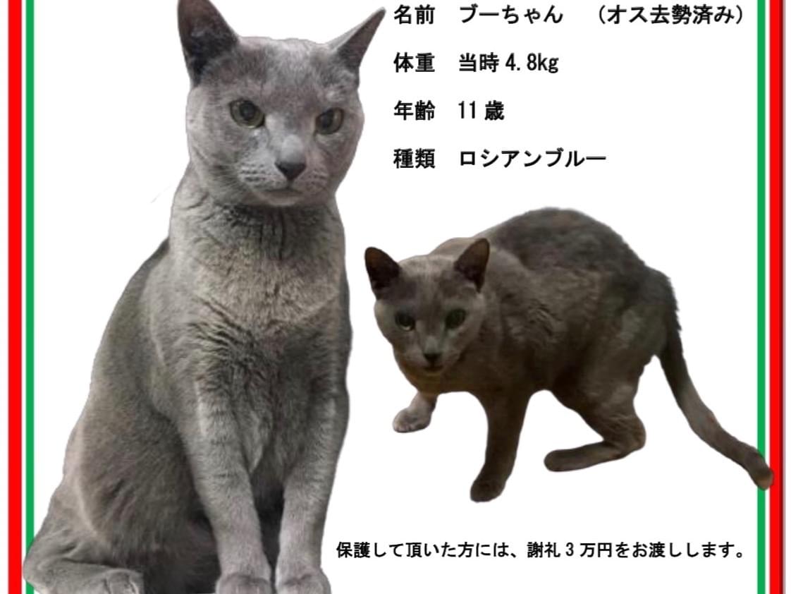 ブー