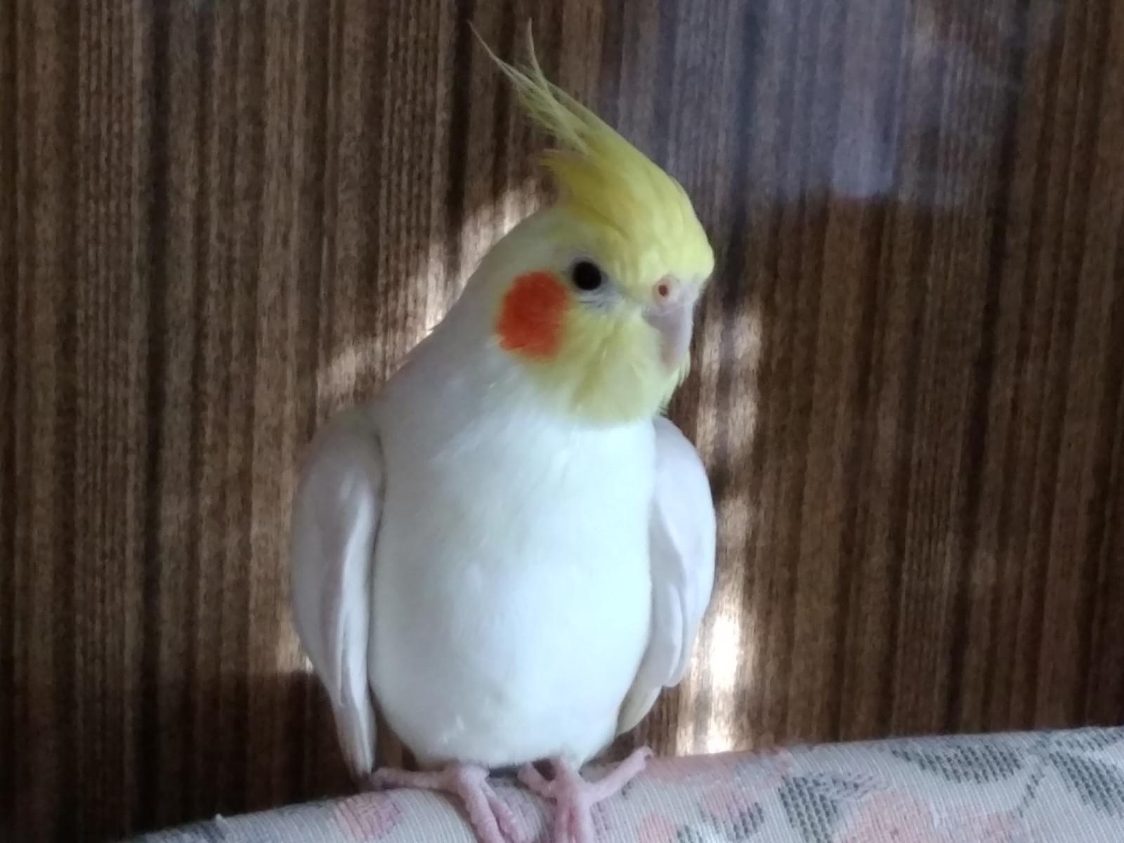 クーちゃん クーちゃん