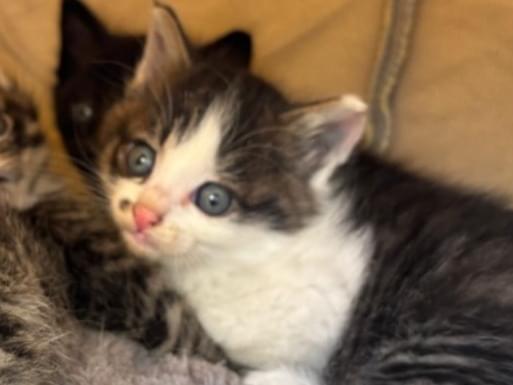 ララちゃん ララちゃん