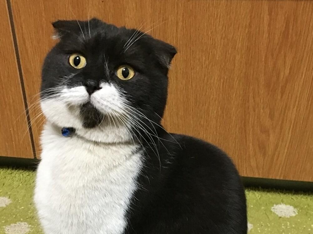 リオちゃん リオちゃん
