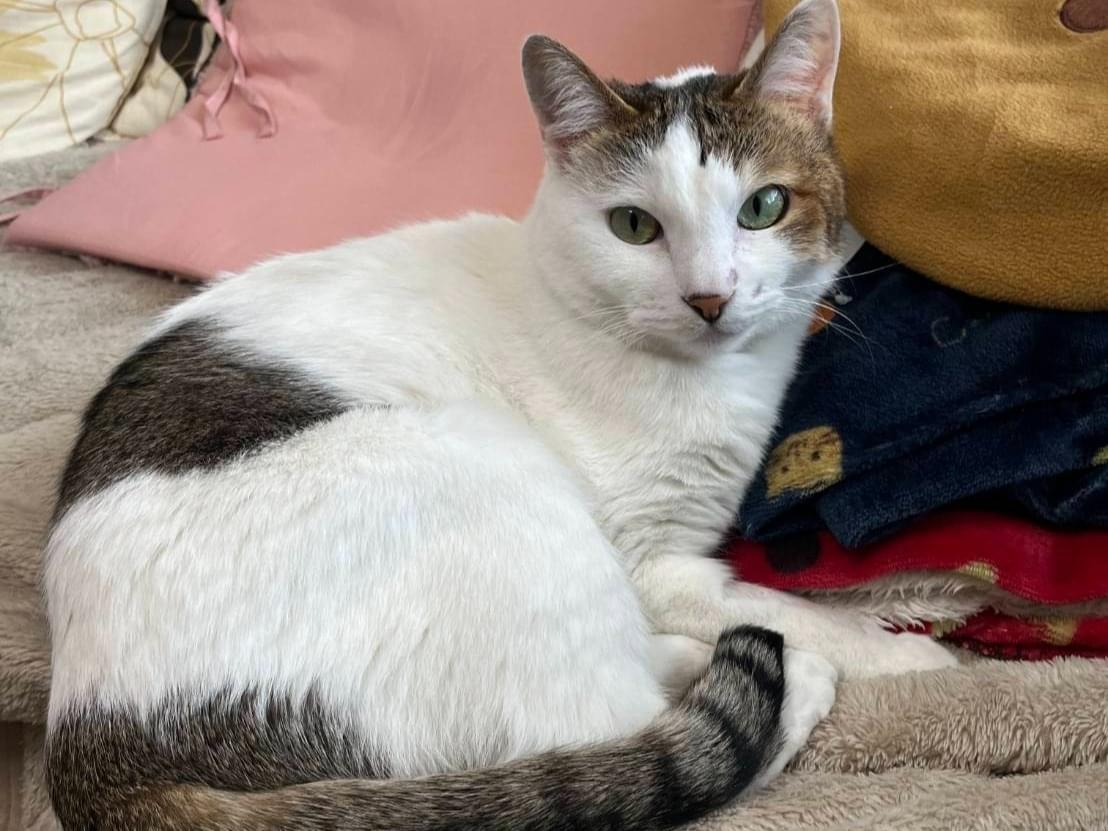 ゆずちゃん ゆずちゃん