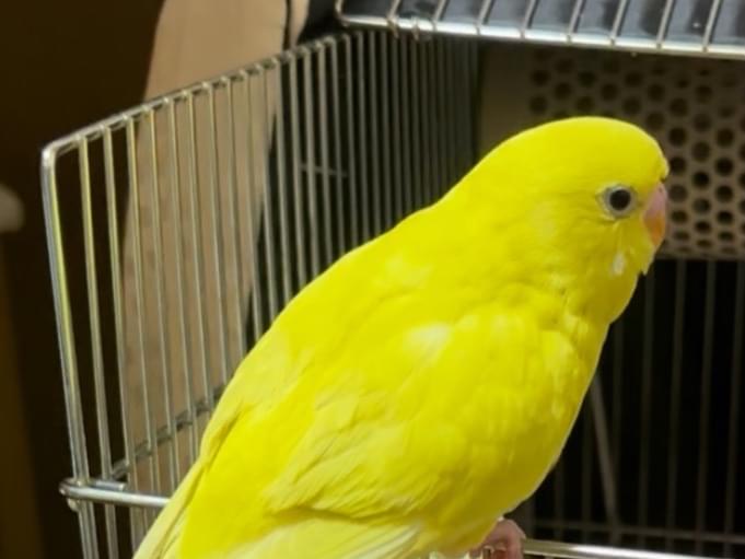 ベルちゃん ベルちゃん