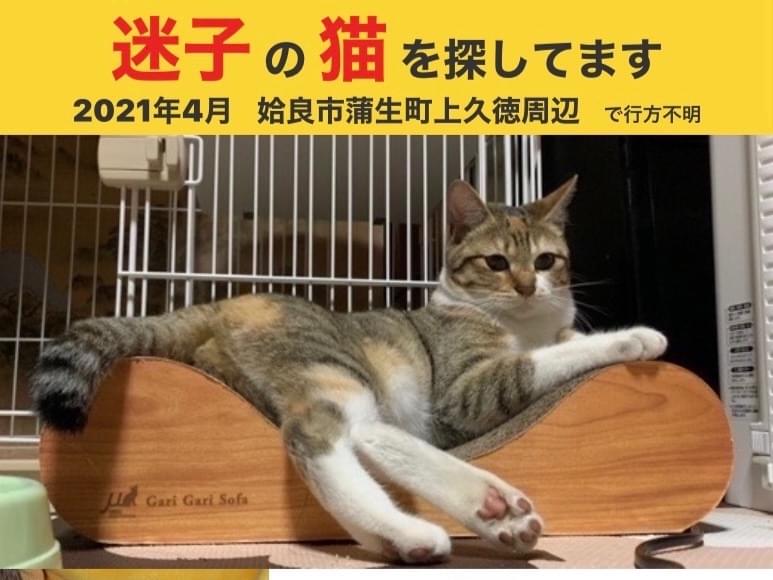 サランちゃん サランちゃん