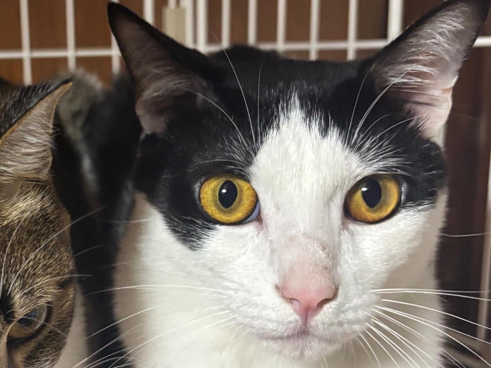 マルちゃん マルちゃん