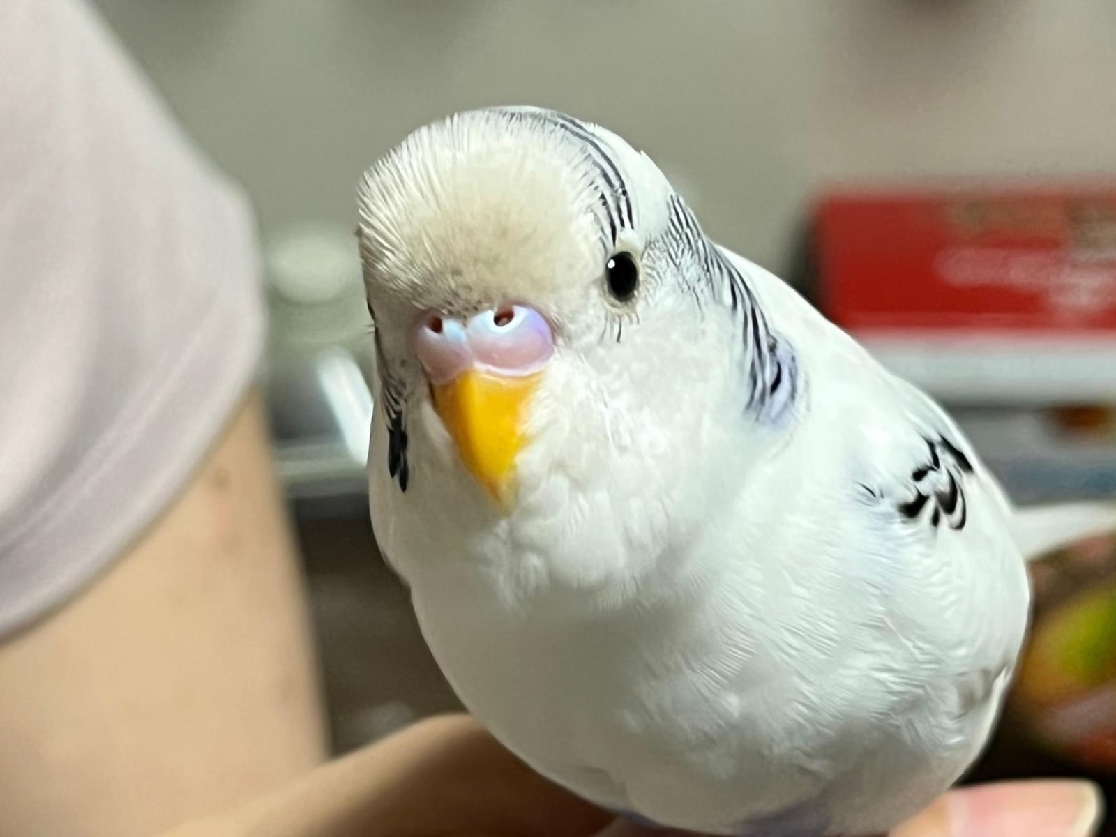 そらちゃん そらちゃん